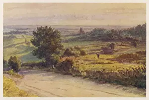 Blackmore: Dorset - Blackmore Vale