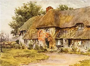 Coker: DORSET DAIRY FARM