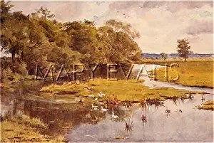 Bockhampton: DORSET/FROME/BOCKHAMPTON