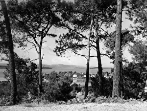 Lilliput: DORSET SCENERY