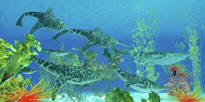 Doryaspis: Doryaspis, an extinct genus of primitive jawless fish from ?