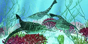 Doryaspis: Doryaspis fish in Devonian seas