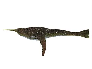 Doryaspis: Doryaspis jawless fish from the Devonian Period