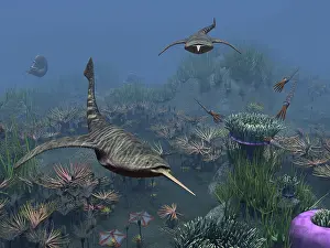 Doryaspis: Doryaspis swim amongst a bed of Anthozoa