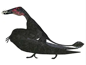 Pteranodon: Dorygnathus pterosaur, side profile