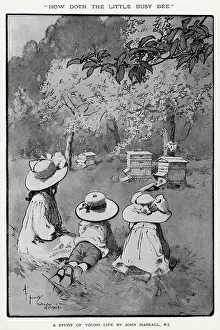 Nov20: How Doth the Little Busy Bee by John Hassall