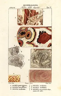 Agate: Dotted agate, spotted agate, eyed agate, etc