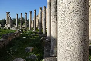 Thugga: Dougga