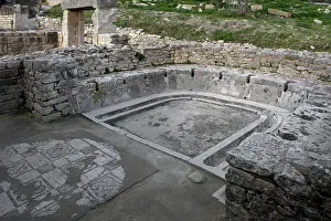 Cyclopes: Dougga