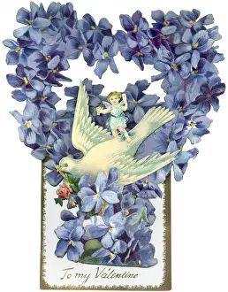 Lilac: Dove, Cherub and Lilac`