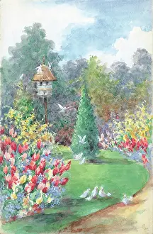 Forsythia: Dovecot with tulips and forsythia