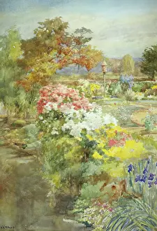 Milnes: The Dovecote ' garden with flower beds