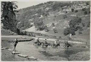 Dovedale: Dovedale, Derbyshire Dales