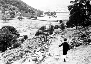 Dovedale: Dovedale, Lake District