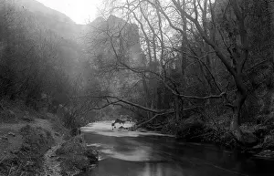 Dovedale: Dovedale - River and scenery with trees