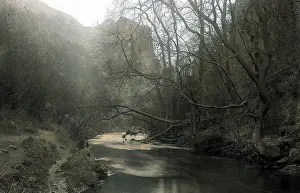 Dovedale: Dovedale - River and scenery with trees