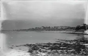 Seaweed: Dovercourt Seaside View