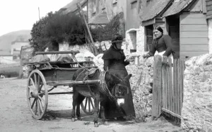 Downderry: Downderry, Donkey Cart 1894
