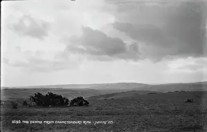 Downs: The Downs from Chanctonbury Ring