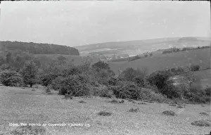 Downs: The Downs at Goodwood
