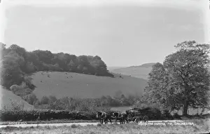 Downs: The Downs, Near Chichester