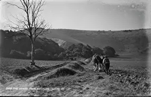 Downs: The Downs Near Ditchling
