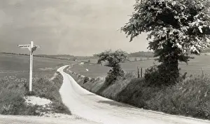 Wantage: On the Downs between West Shefford and Wantage, Berkshire
