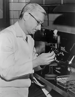 Paralysis: Dr. Albert Sabin, seated at a microscope in