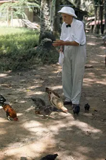 Schweitzer: Dr. Albert Schweitzer, 1964
