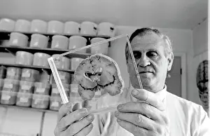 Neuropathologist: Dr Jan Corsellis