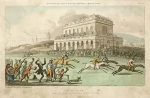 Loses: Dr Syntax Loses his Money at the Race Ground at York