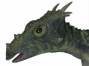Spiked: Dracorex dinosaur head