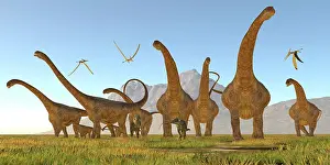 Pteranodon: Two Dracorex dinosaurs walk in front of a Malawisaurus herd