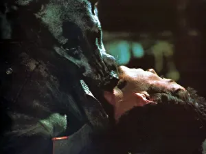 Zoltan: DRACULA'S DOG
