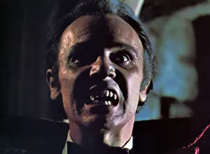 Zoltan: DRACULA'S DOG