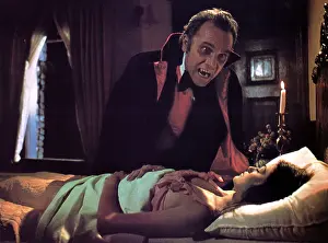 Zoltan: DRACULA'S DOG