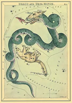 Ursa: Dragon and Bear, Stars