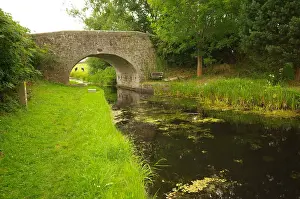 Montgomeryshire: Dragon Bridge, Montgomery Canal