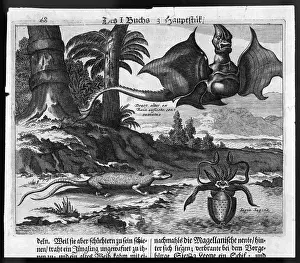Reported: Dragon (De Bry)