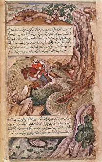 Eaten: Dragon Devouring Rider
