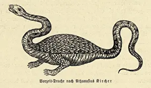 Otherworldly: Dragon (Kircher)