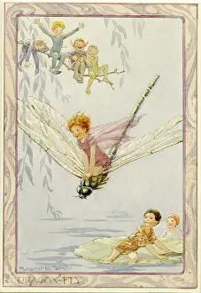 Dragonflies: Dragonfly