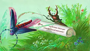 Dragonflies: Dragonfly and beetle on a Christmas card