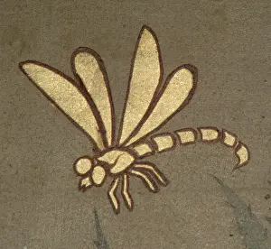 Anisoptera: Dragonfly from decorative ceiling panels