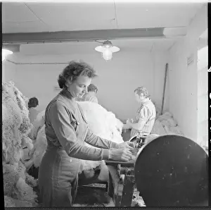 Capabilities: Drahomira Burianova, worker, tanner, fur, combing machine