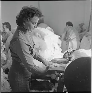 Capabilities: Drahomira Burianova, worker, tanner, fur, combing machine