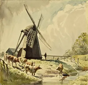 Draining: Draining Mill, Herringfleet with cattle