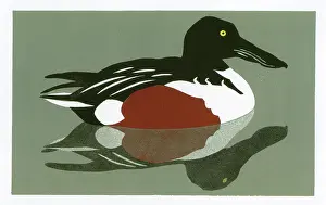 Linocut: Drake Shoveler