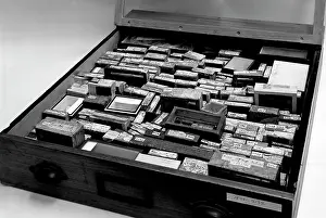 Sloane: Drawer of botanical specimens