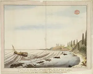 Sirius: Drawing 22 from the Watling Collection